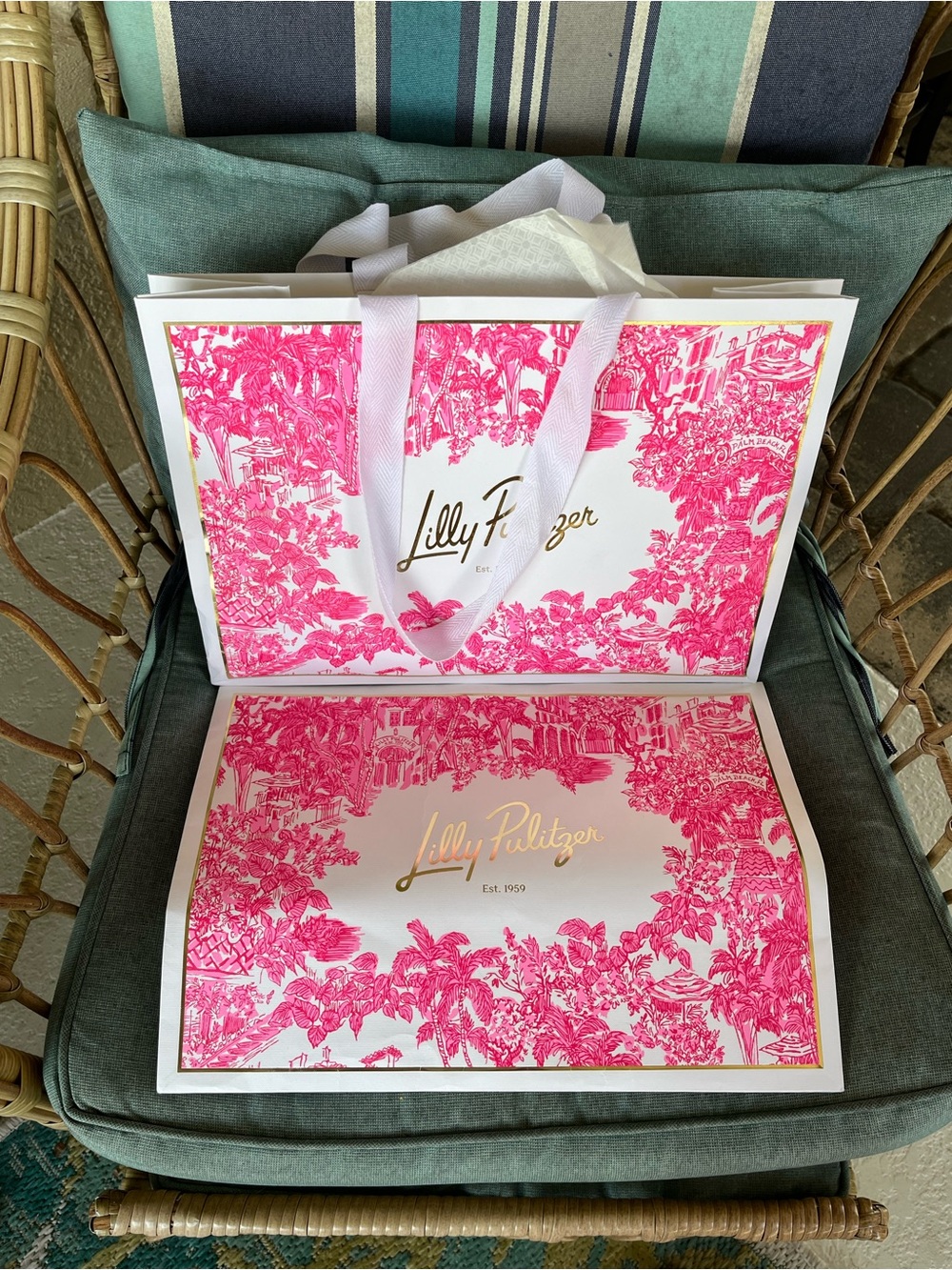 🌸2 Lilly Pulitzer Bags🌸
